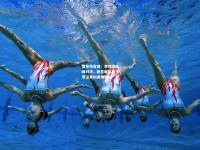 雷竞技官网：世锦赛巅峰对决，新星崛起与传奇卫冕的激情碰撞