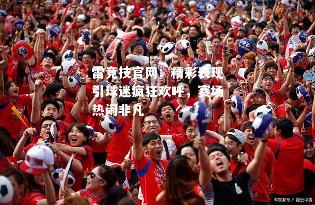 雷竞技官网：精彩表现引球迷疯狂欢呼，赛场热闹非凡