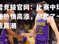 雷竞技官网：比赛中球迷热情高涨，掀起了一波高潮