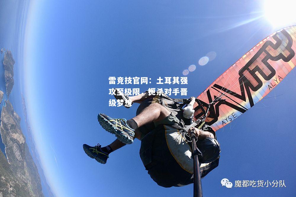 雷竞技官网：土耳其强攻至极限，扼杀对手晋级梦想