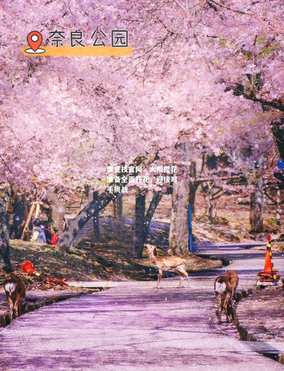 雷竞技官网：大阪樱花准备全面开花，迎接对手挑战