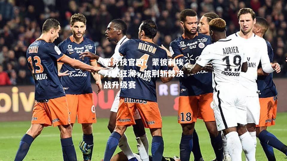 雷竞技官网：蒙彼利埃力挽狂澜，披荆斩棘决战升级赛