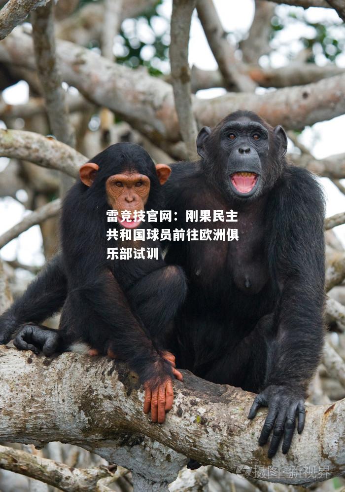 雷竞技官网：刚果民主共和国球员前往欧洲俱乐部试训