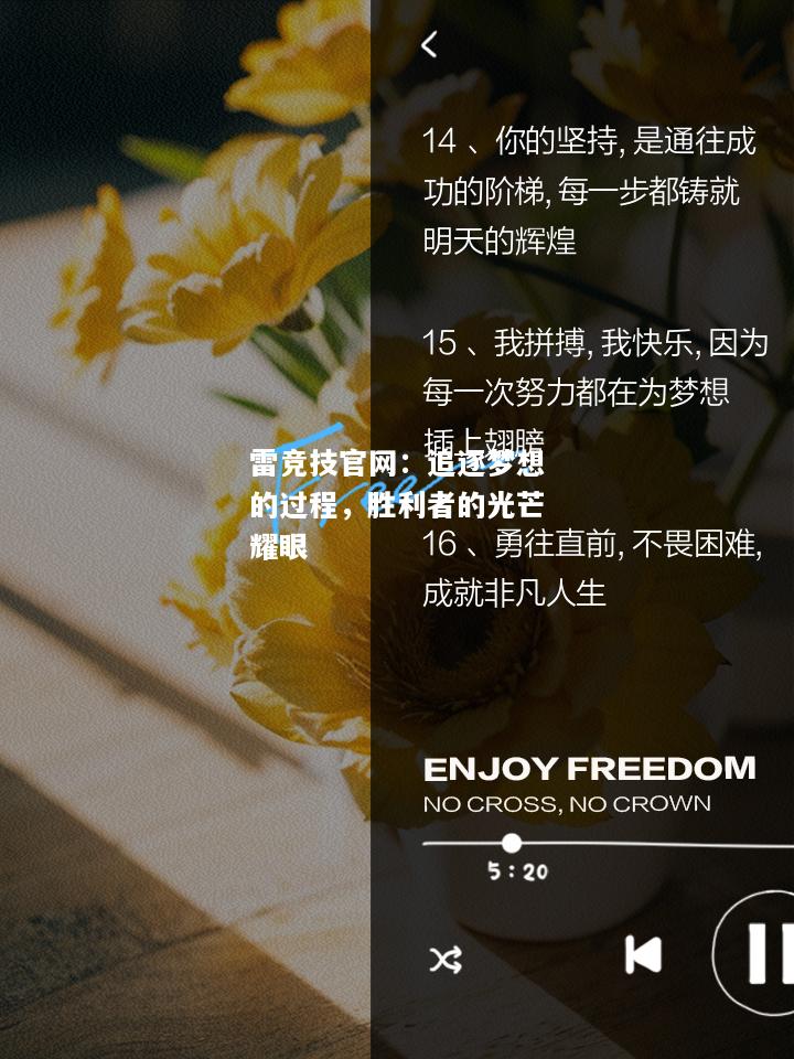 雷竞技官网：追逐梦想的过程，胜利者的光芒耀眼